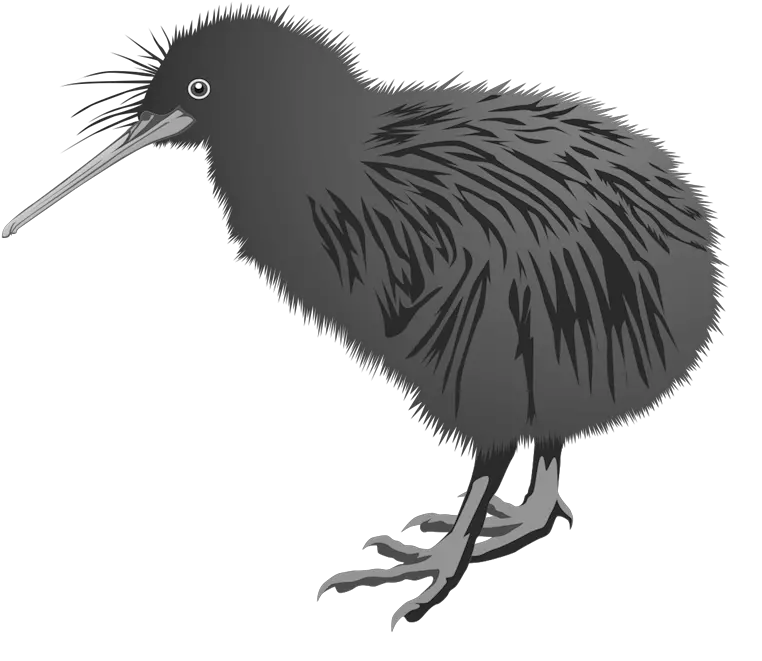 Kiwi bird PNG