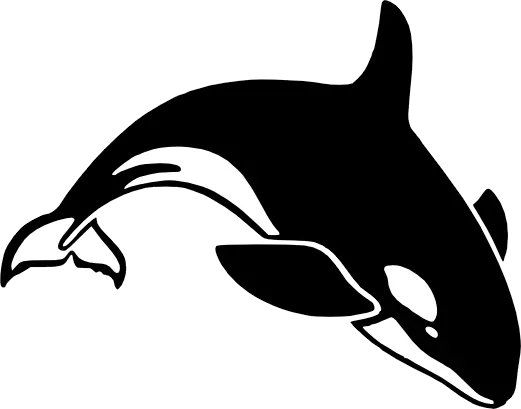Killer whale PNG