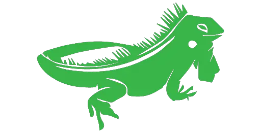 Iguana PNG