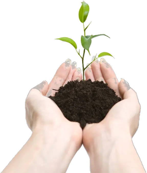 Soil in hands PNG