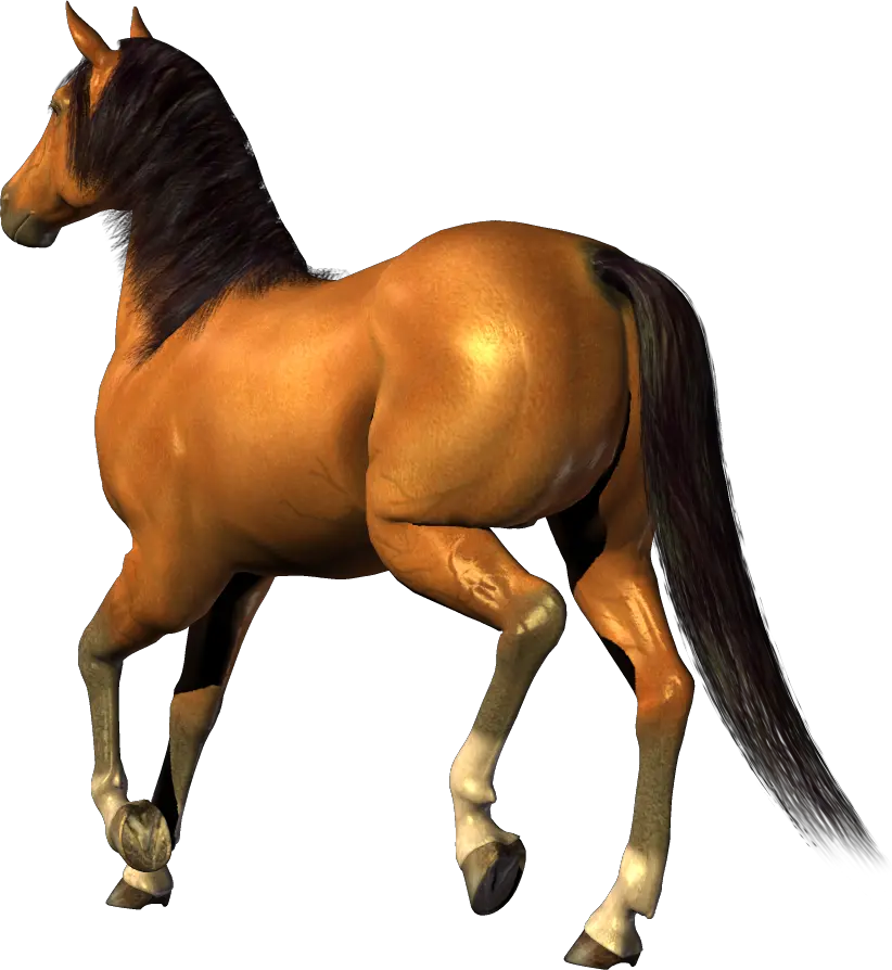 horse png image free download picture transparent background