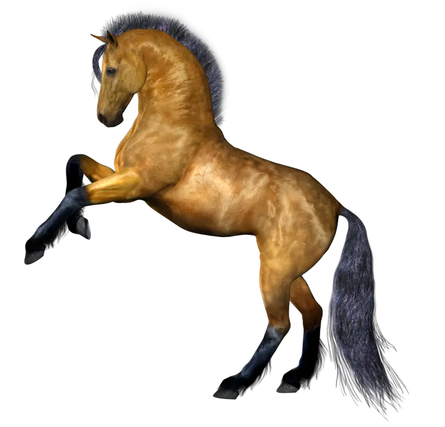 horse png image free download picture transparent background