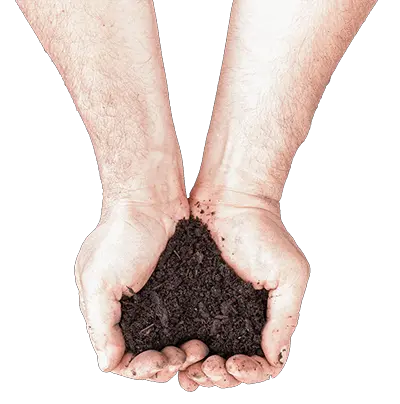 Soil in hands PNG