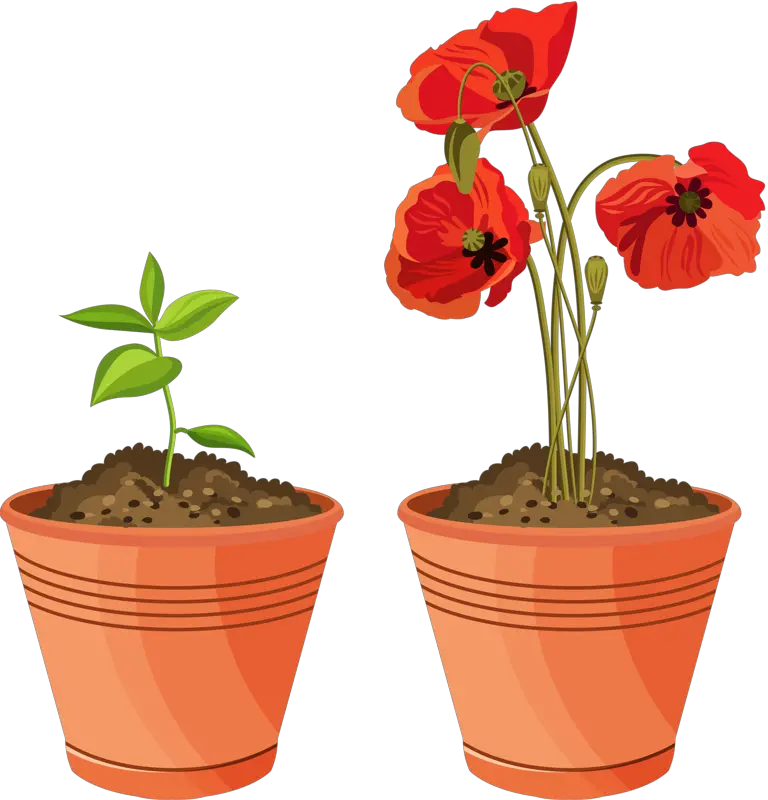 Soil PNG