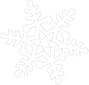 White snowflake PNG image