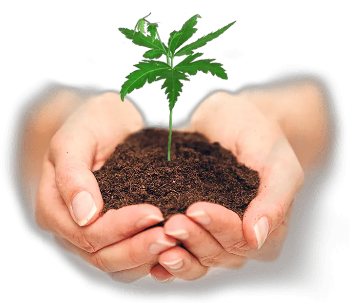 Soil in hands PNG