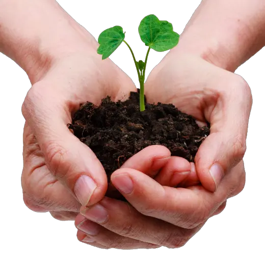 Soil in hands PNG