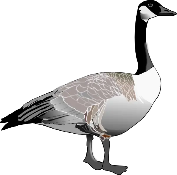 Goose PNG