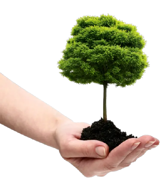 Soil in hand PNG
