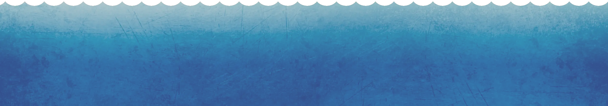 Sea PNG