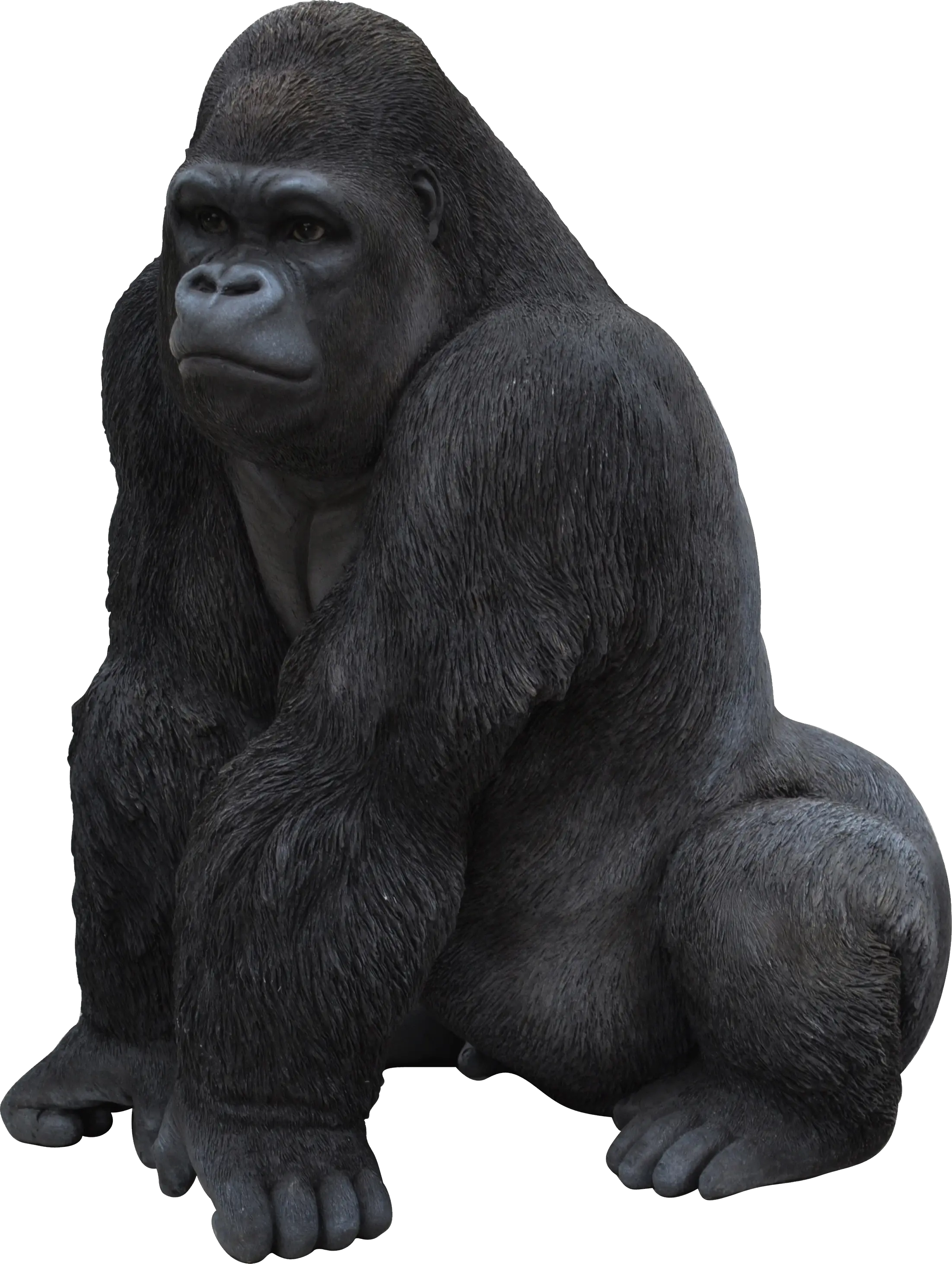 Gorilla PNG
