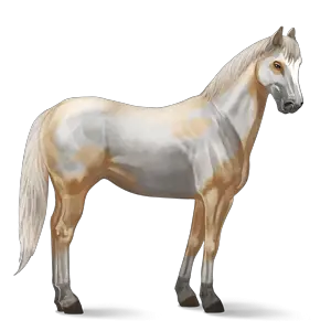 Horse png image
