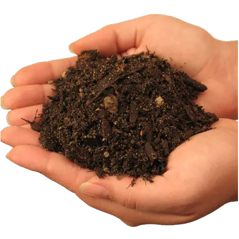 Soil in hands PNG