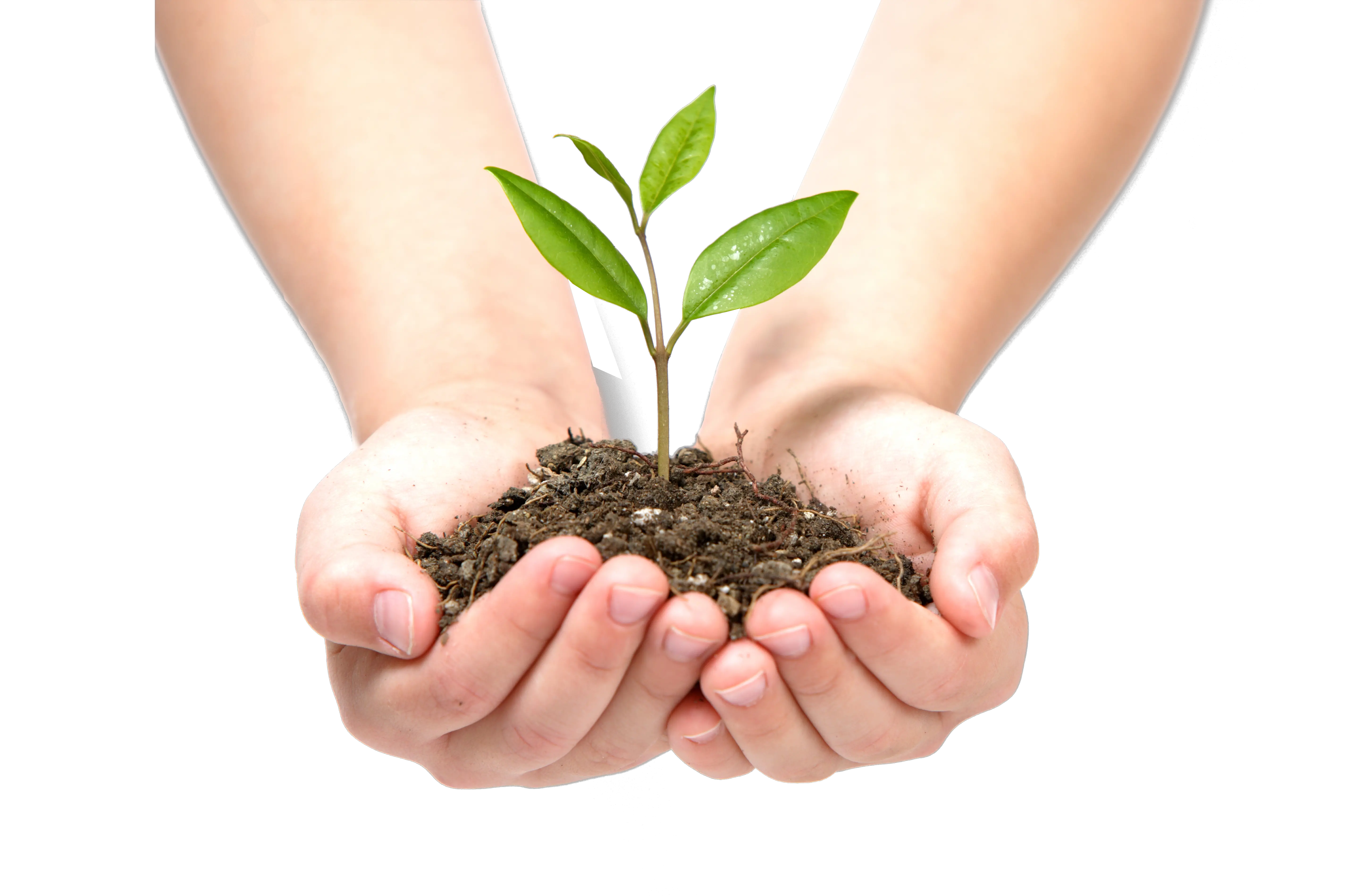 Soil in hands PNG
