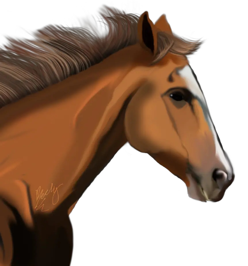 horse png image free download picture transparent background