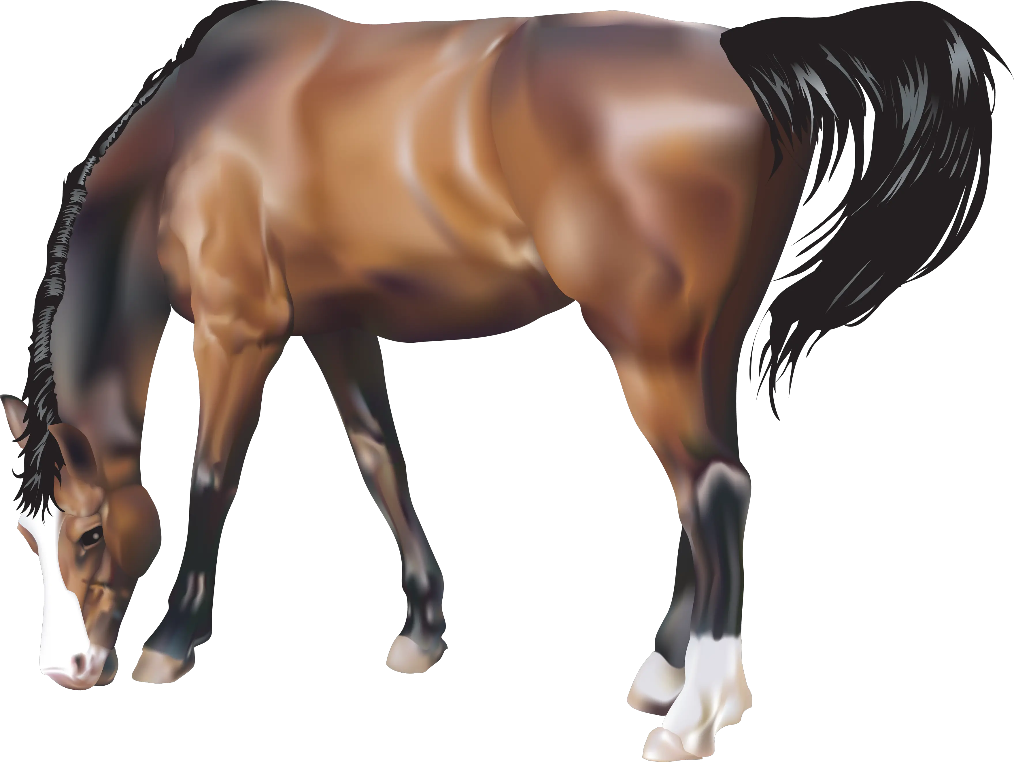 brown horse png image free download picture transparent background