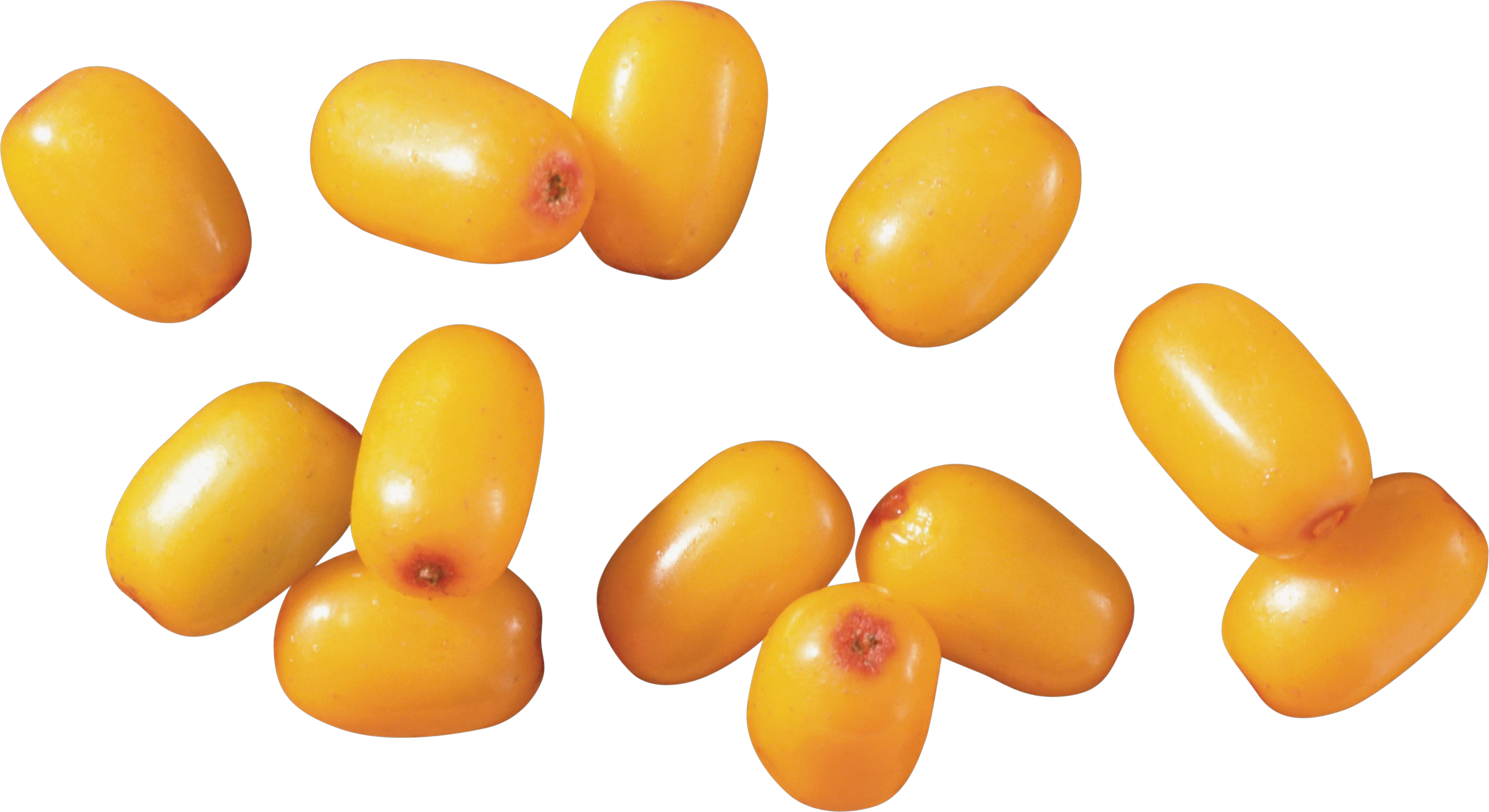 Sea buckthorn PNG