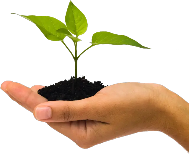Soil in hand PNG