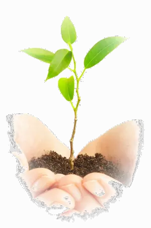 Soil in hands PNG