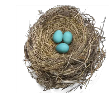 Nest PNG