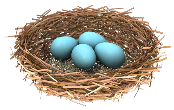 Nest PNG