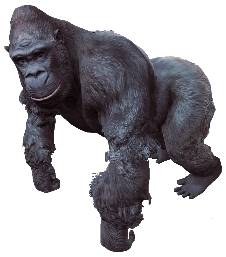Gorilla PNG