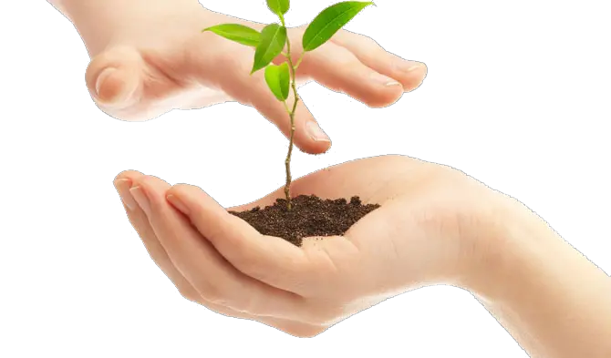 Soil in hands PNG