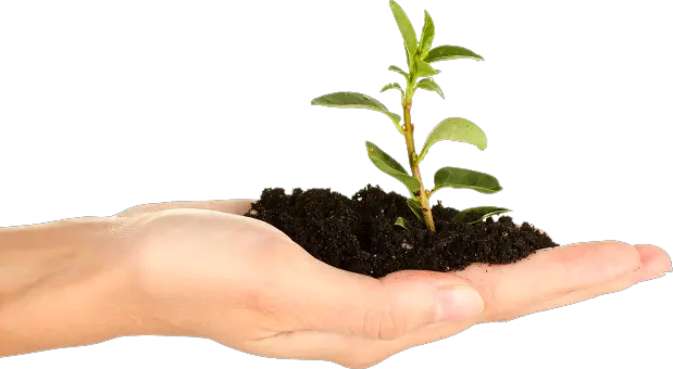 Soil in hand PNG