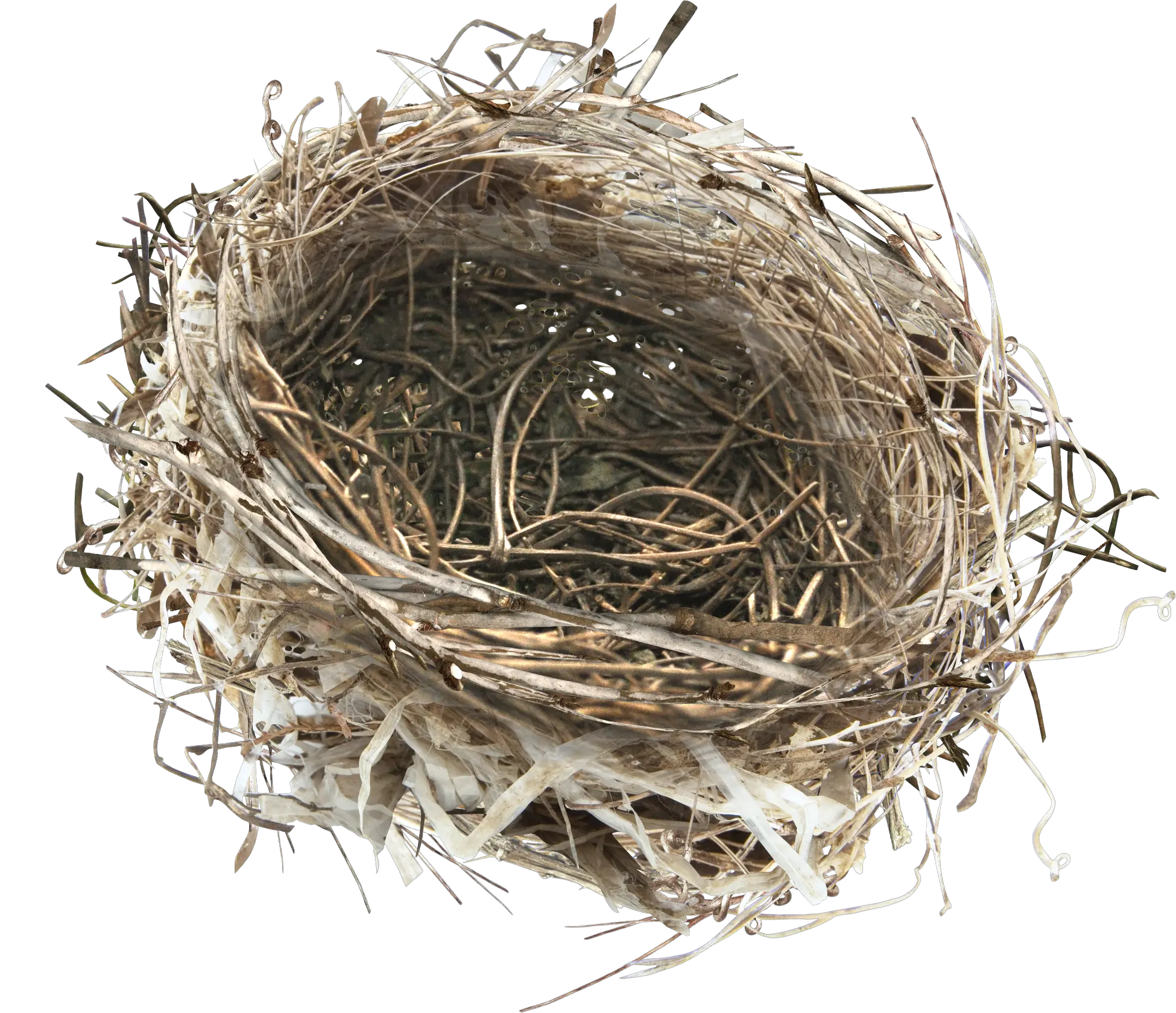 Nest PNG