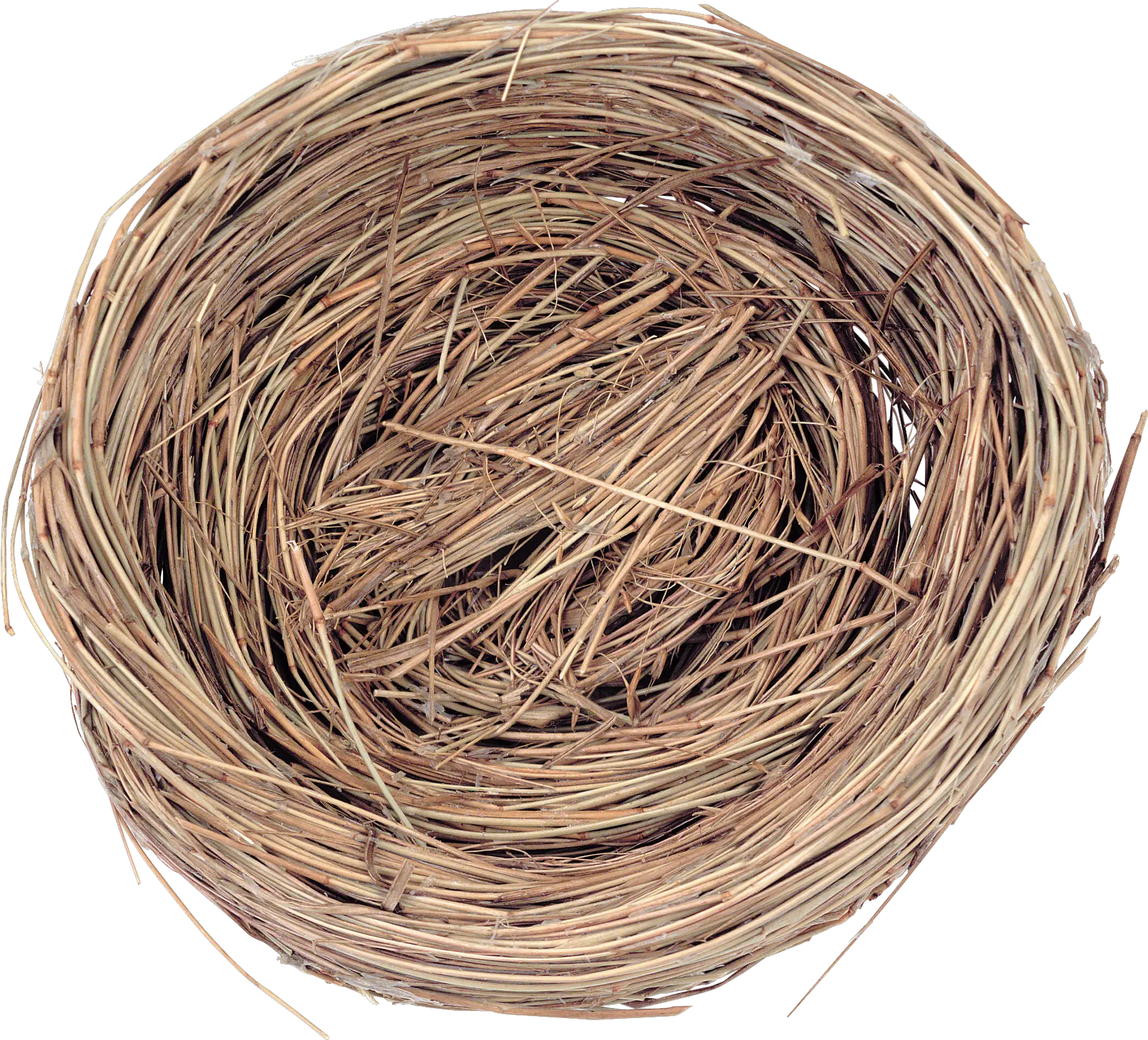 Nest PNG