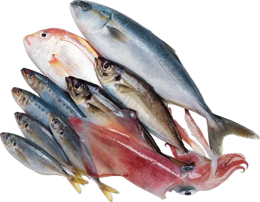 Fish PNG