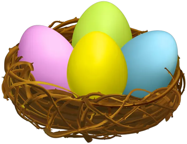 Nest PNG