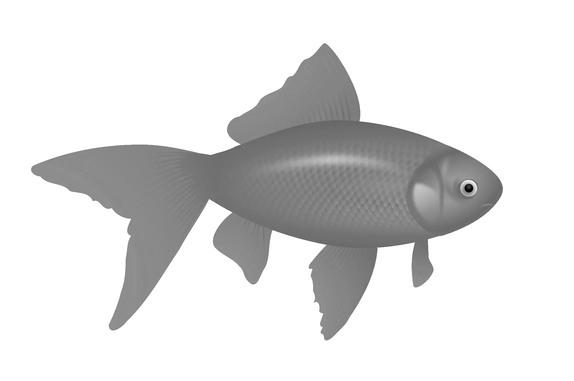 fish PNG image