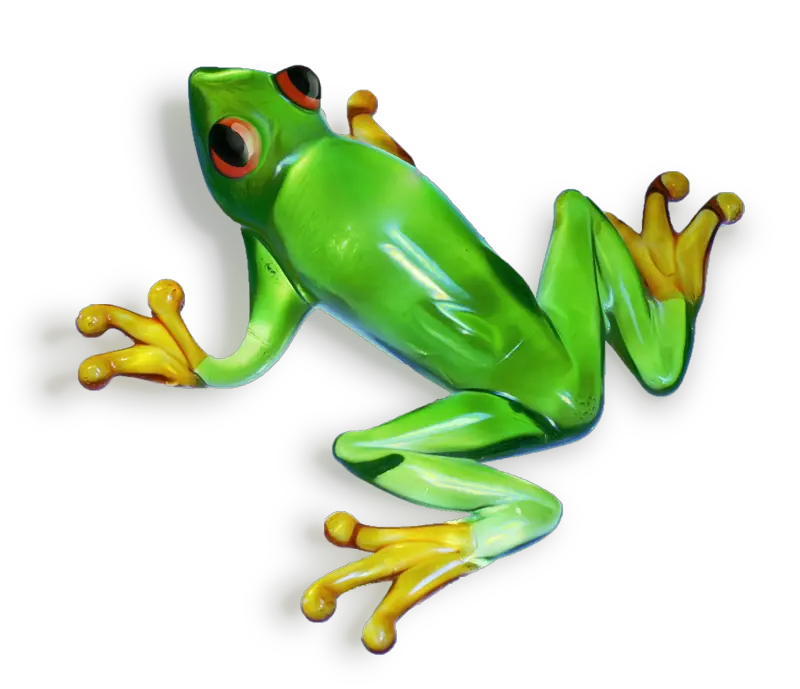 Green frog PNG