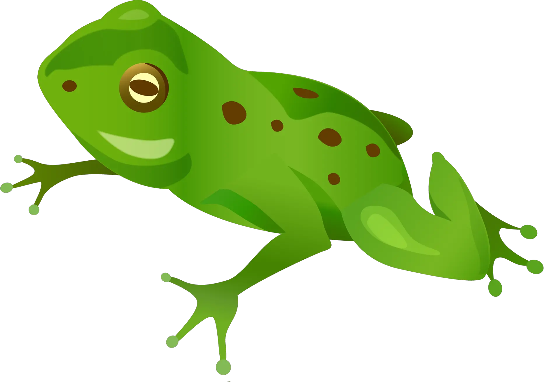 Green frog PNG