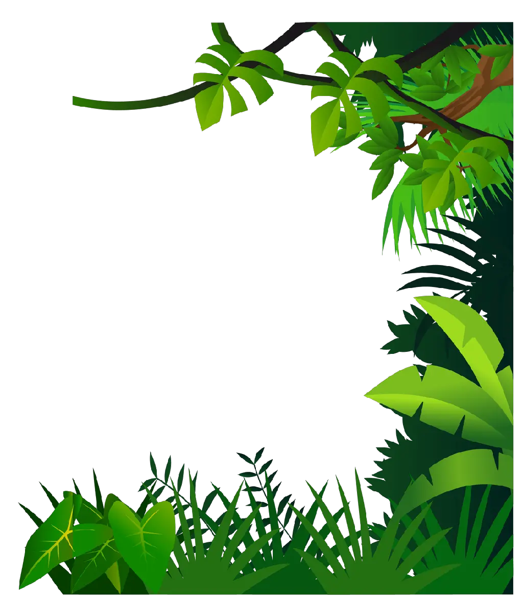 Jungle PNG