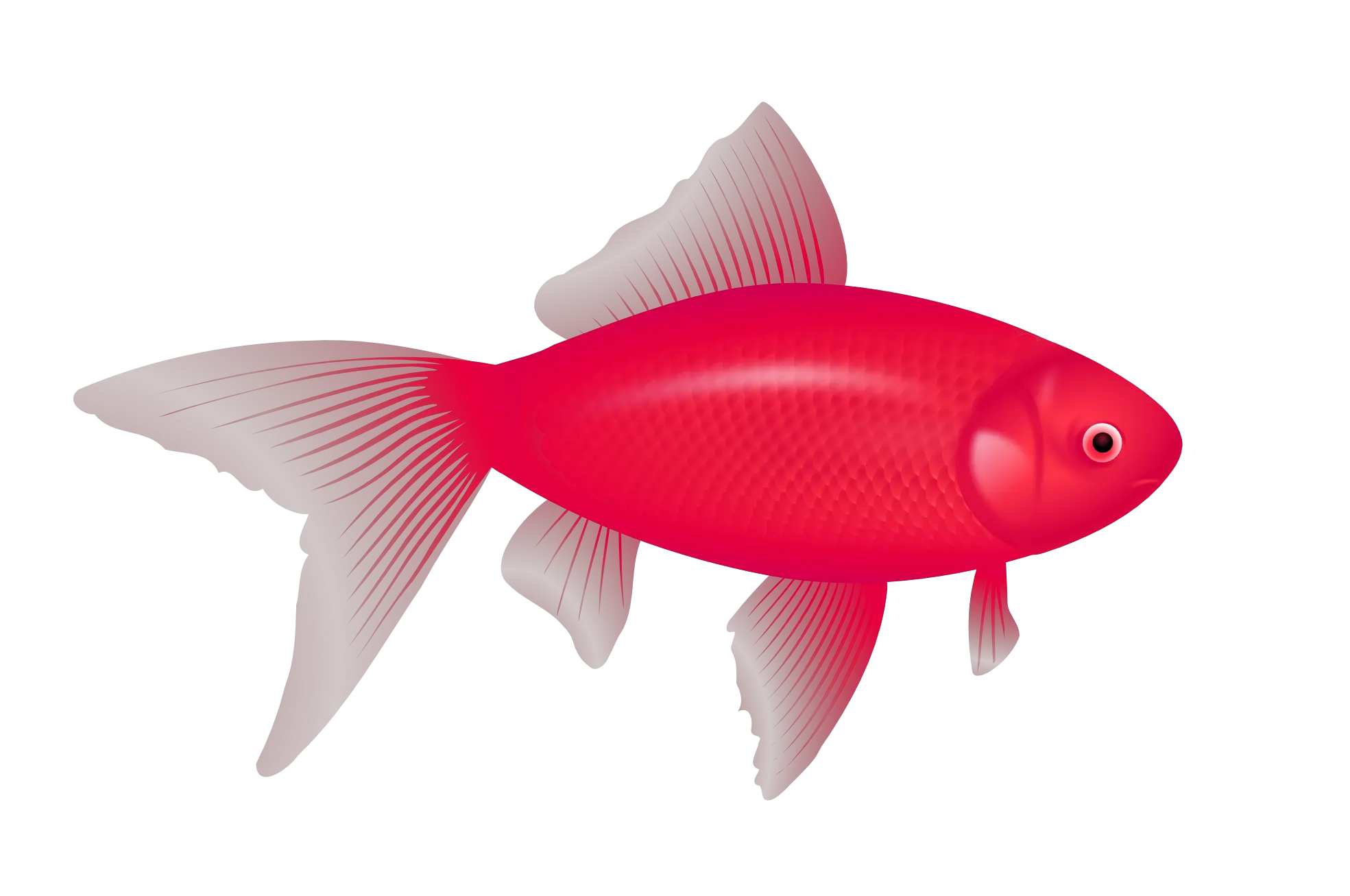 purple fish PNG image