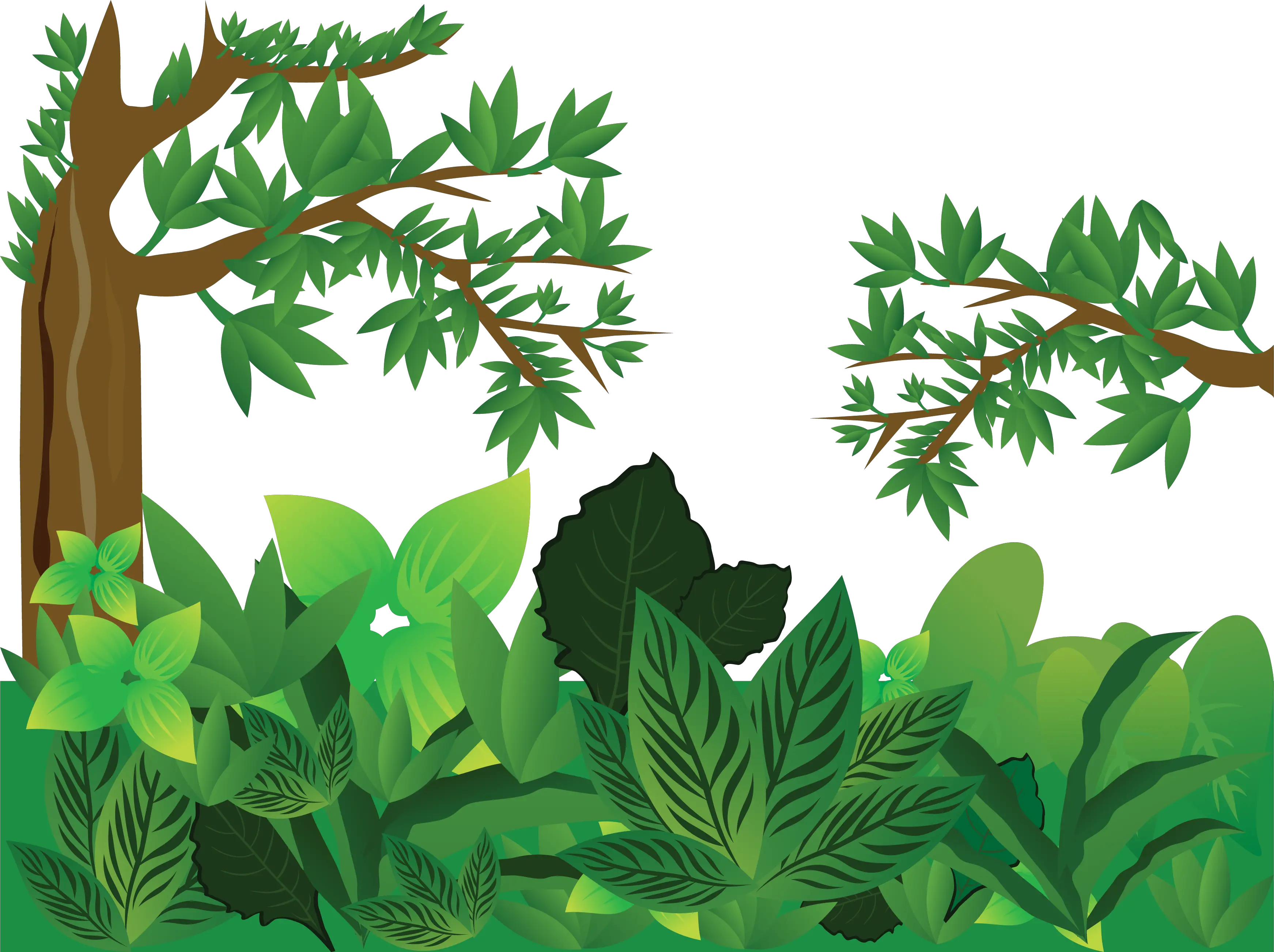 Jungle PNG