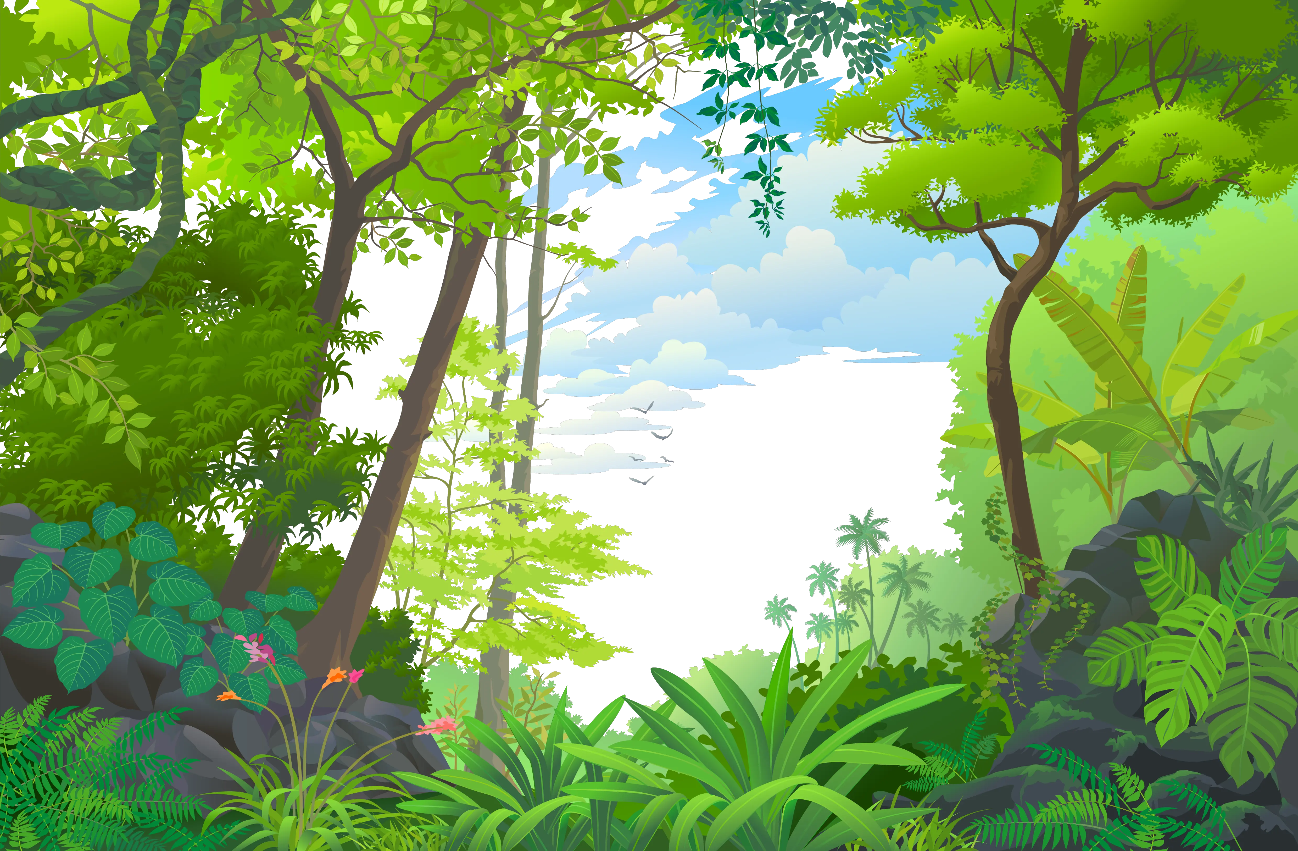 Jungle PNG