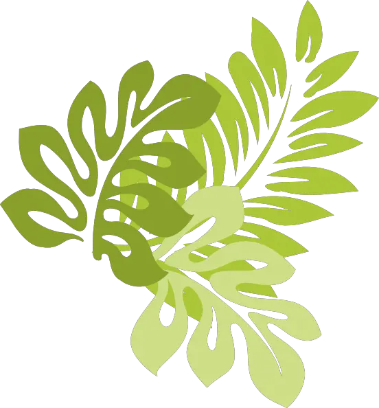 Jungle PNG