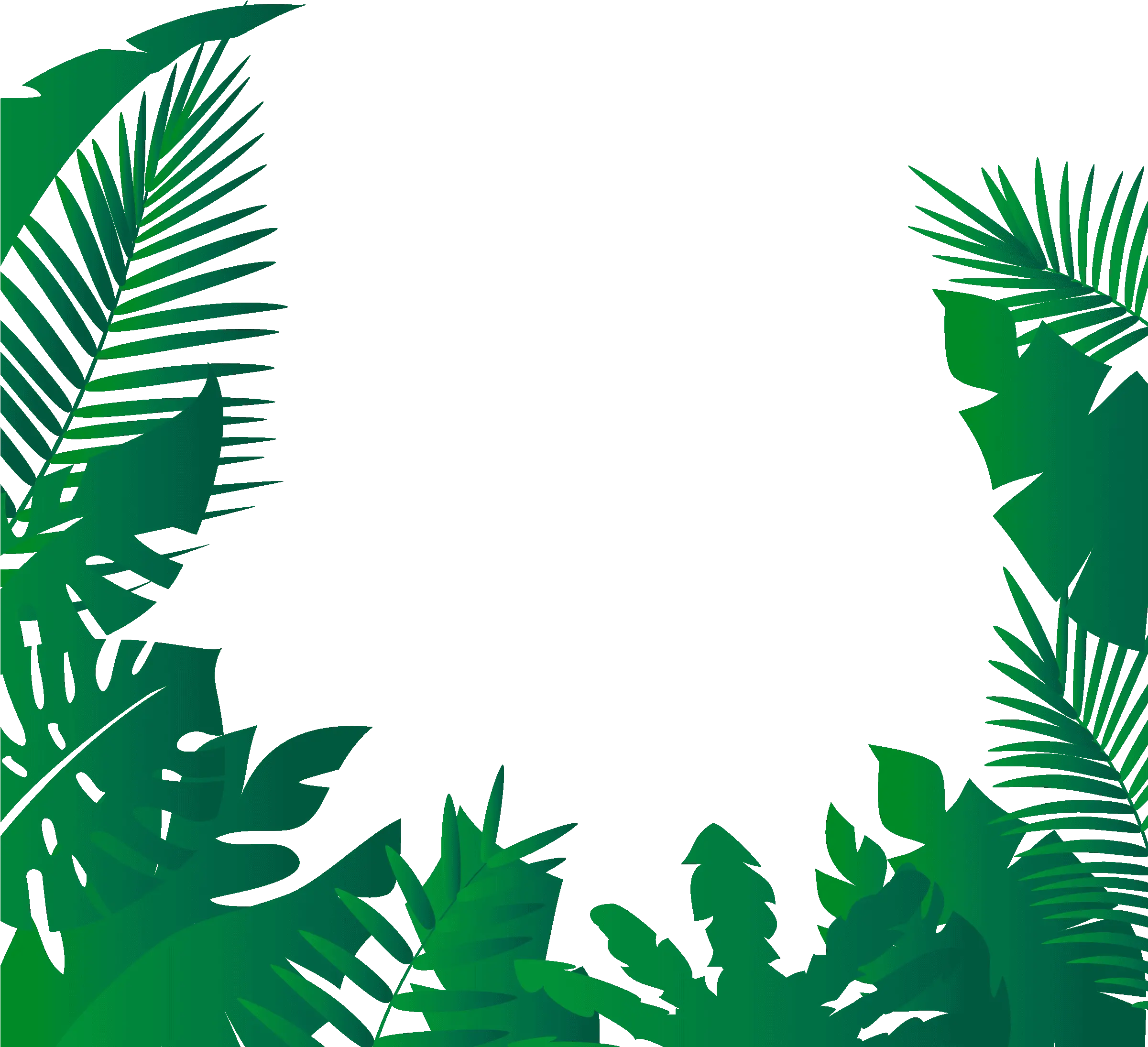 Jungle PNG