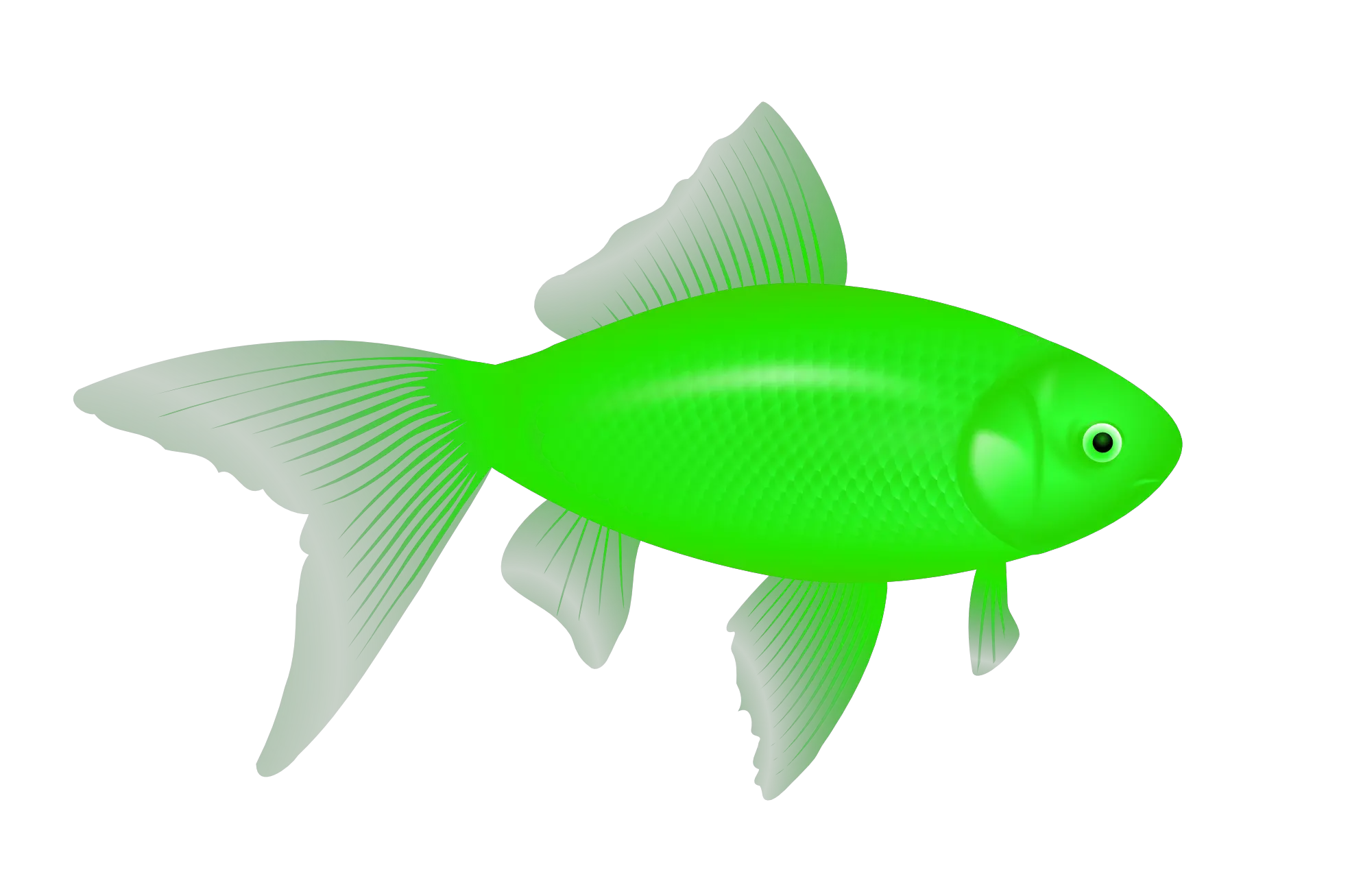 green fish PNG image