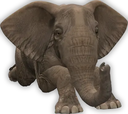 Elephant PNG