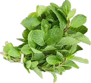 Pepermint PNG