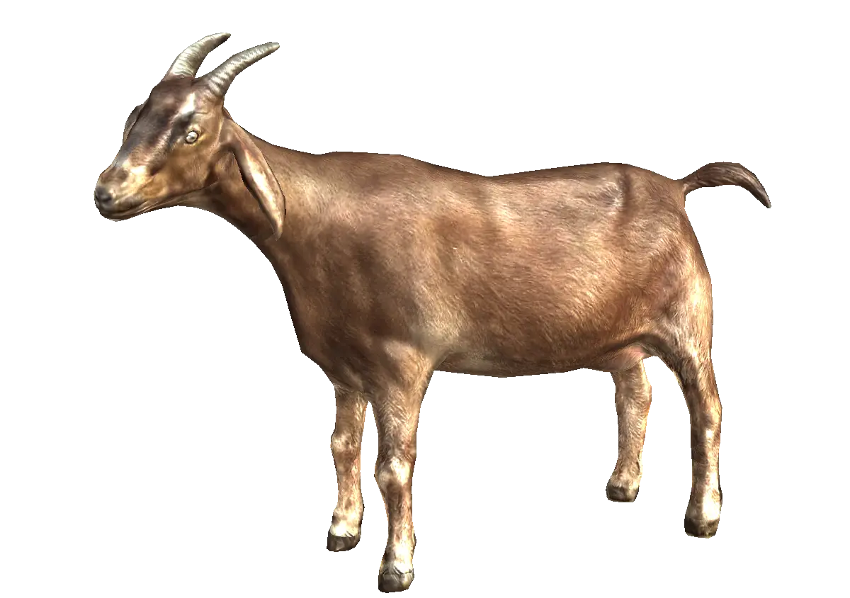 Goat PNG