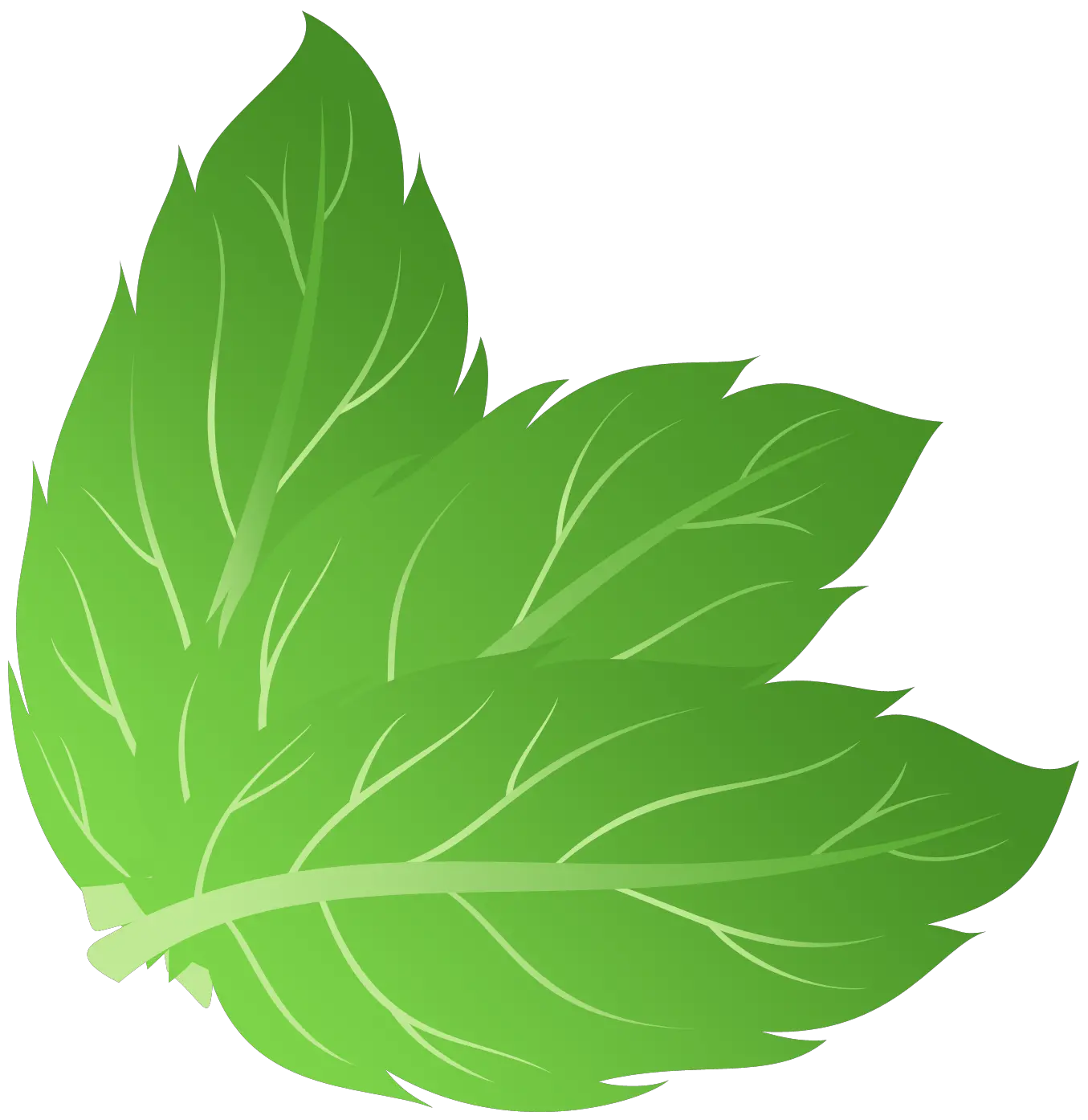 mint PNG