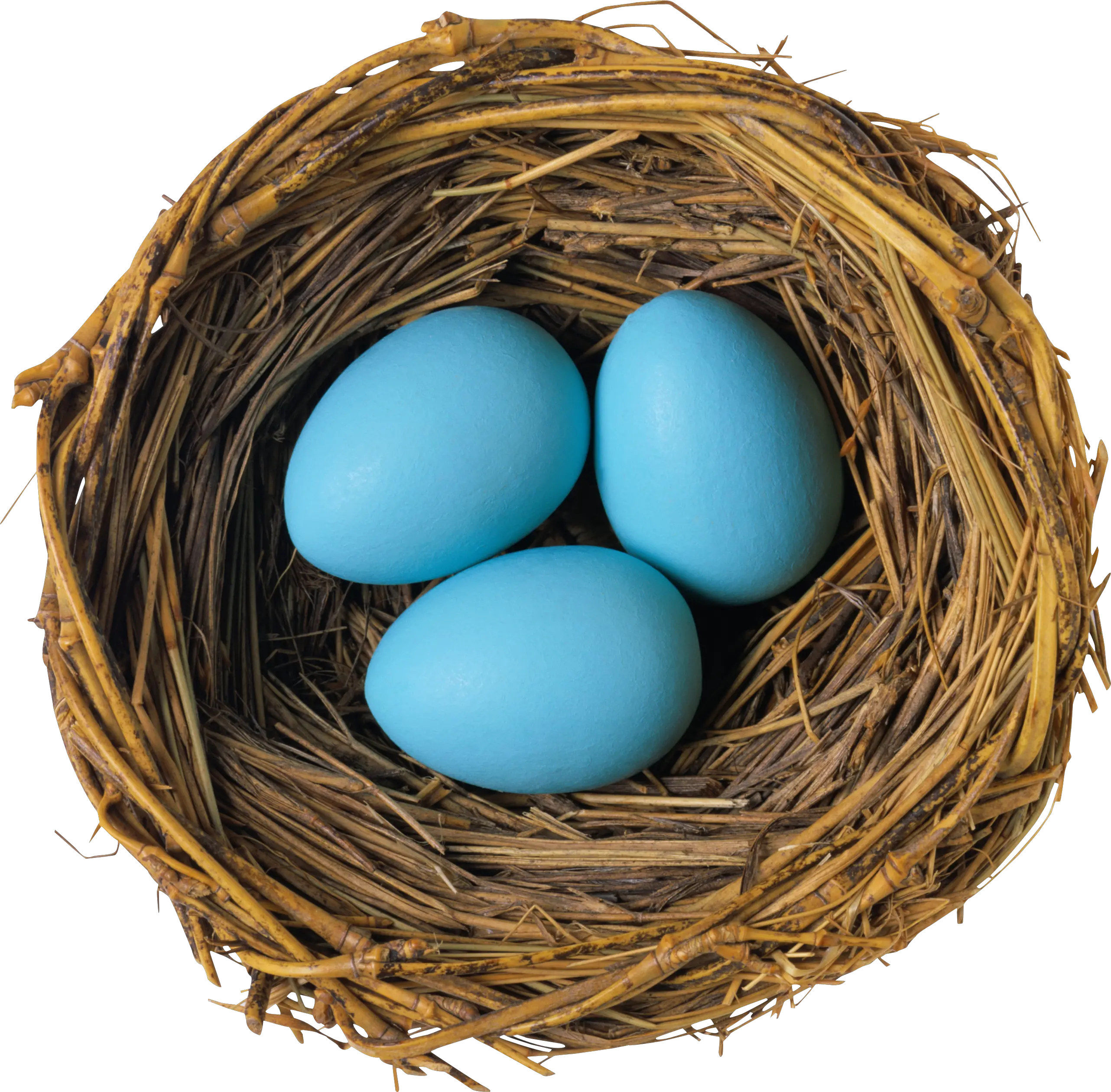 Nest PNG