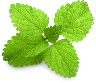 Pepermint PNG