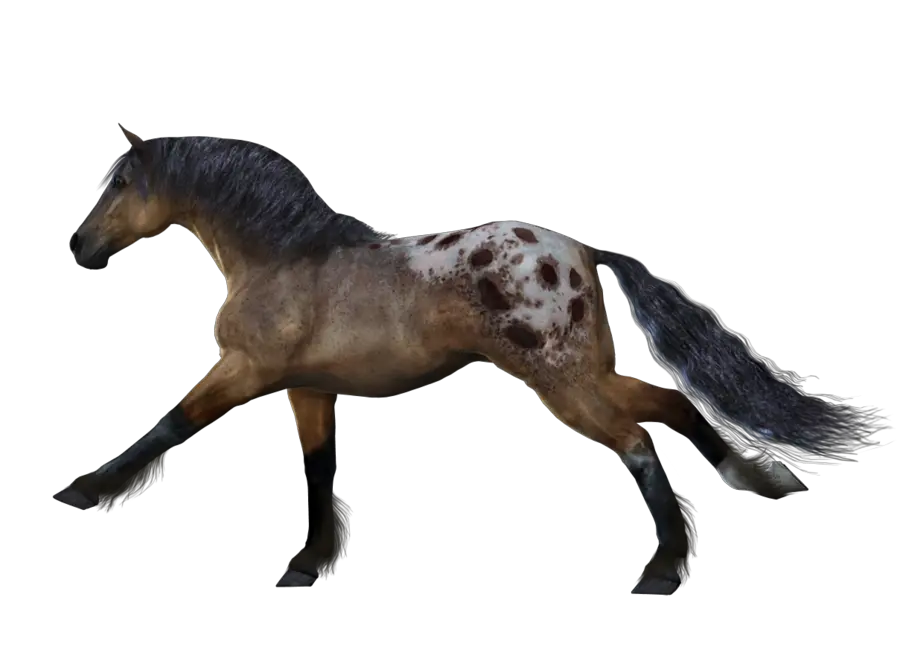 white horse png image free download picture transparent background