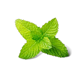 Pepermint PNG